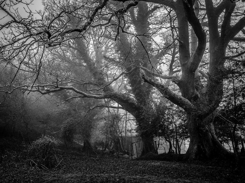 Geul valley, Limburg, Netherlands